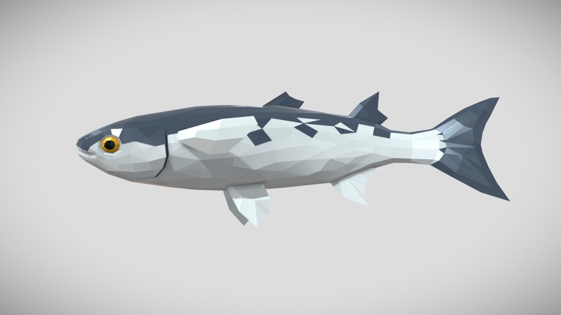 [Low Poly] Mugil 3d model