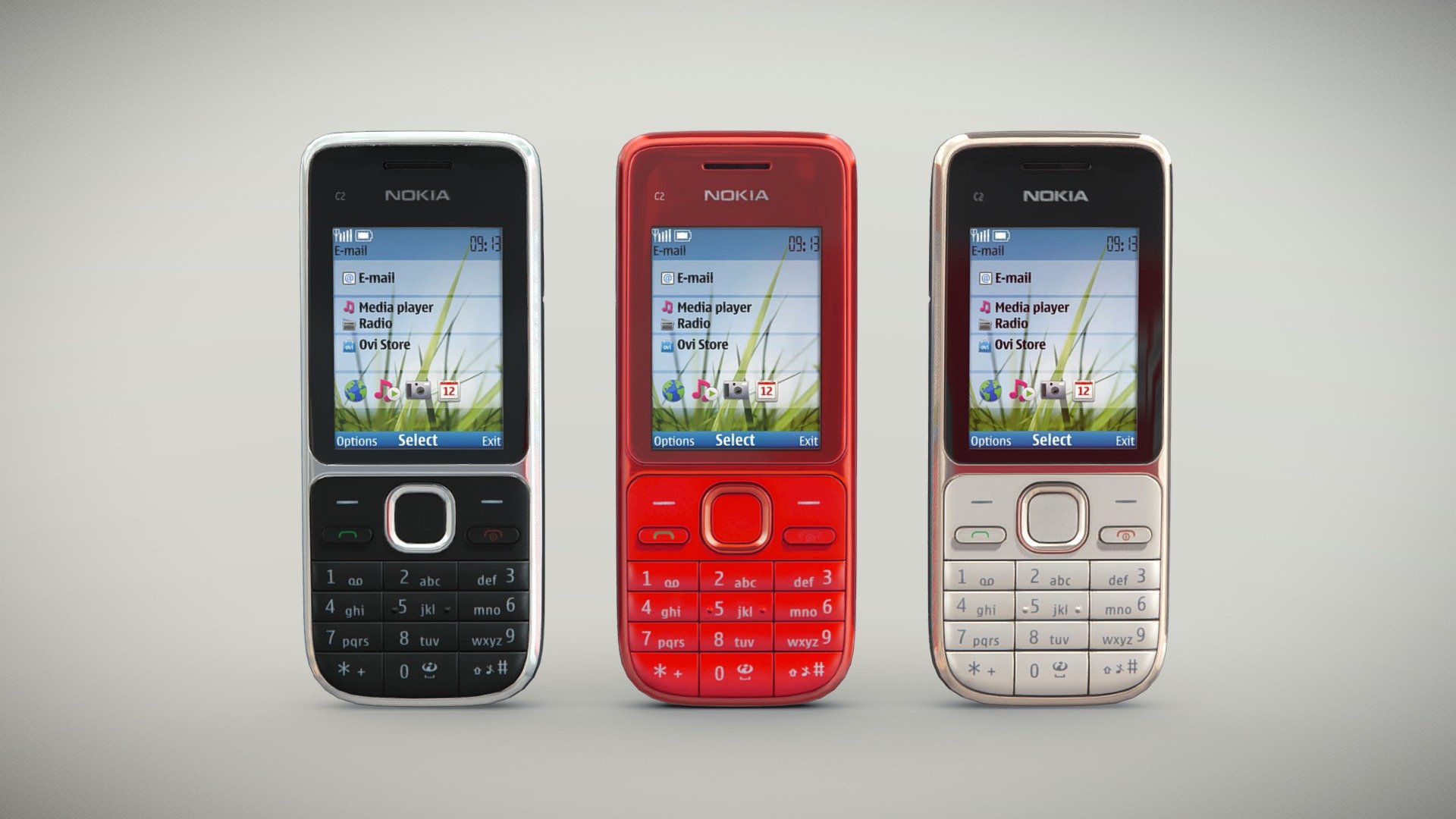 Nokia C2-01 3d model