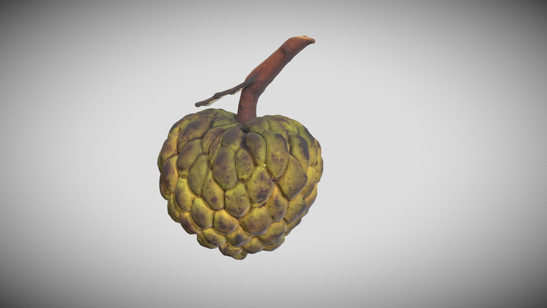 Custard Apple ( Photogrammetry ) 3d model