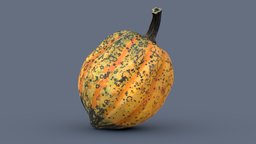 Acorn Squash