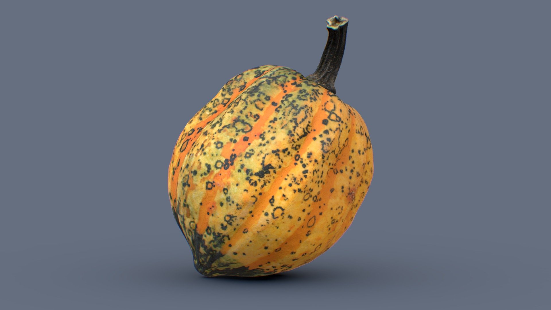 Acorn Squash 3d model