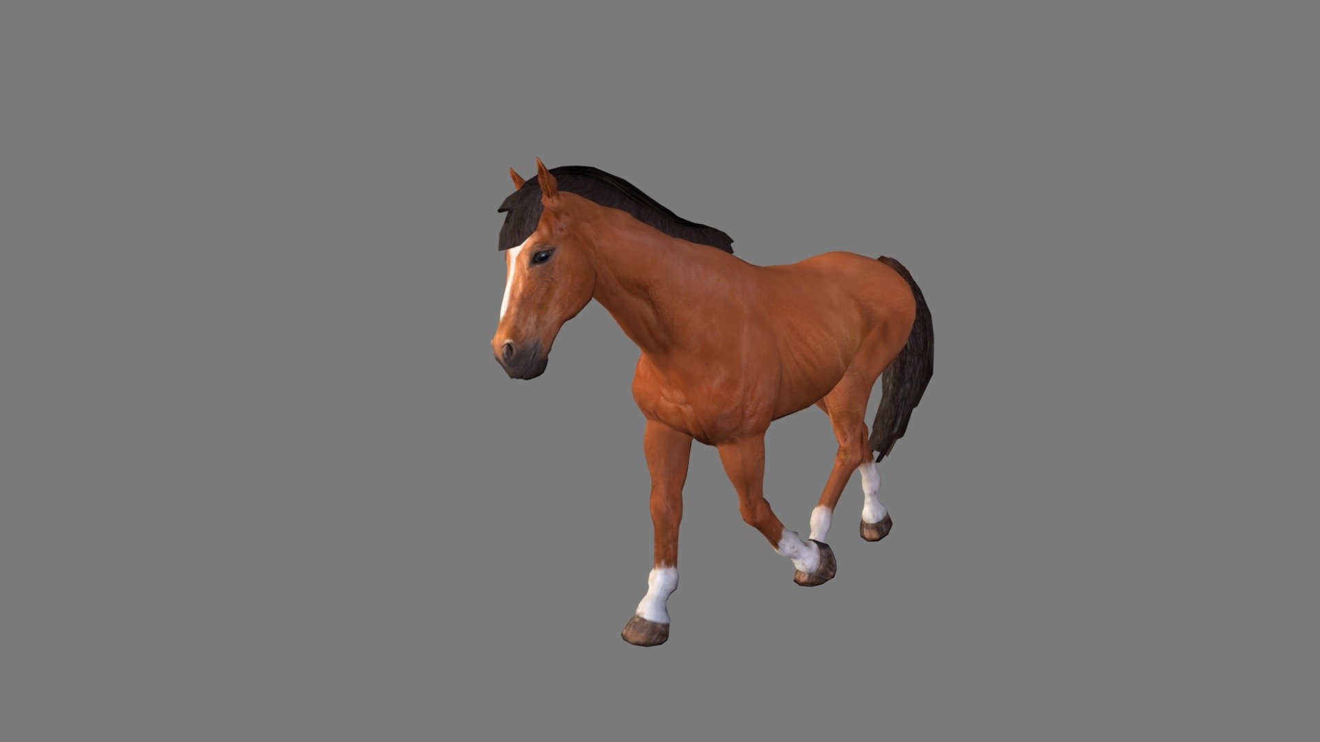 Trot 3d model