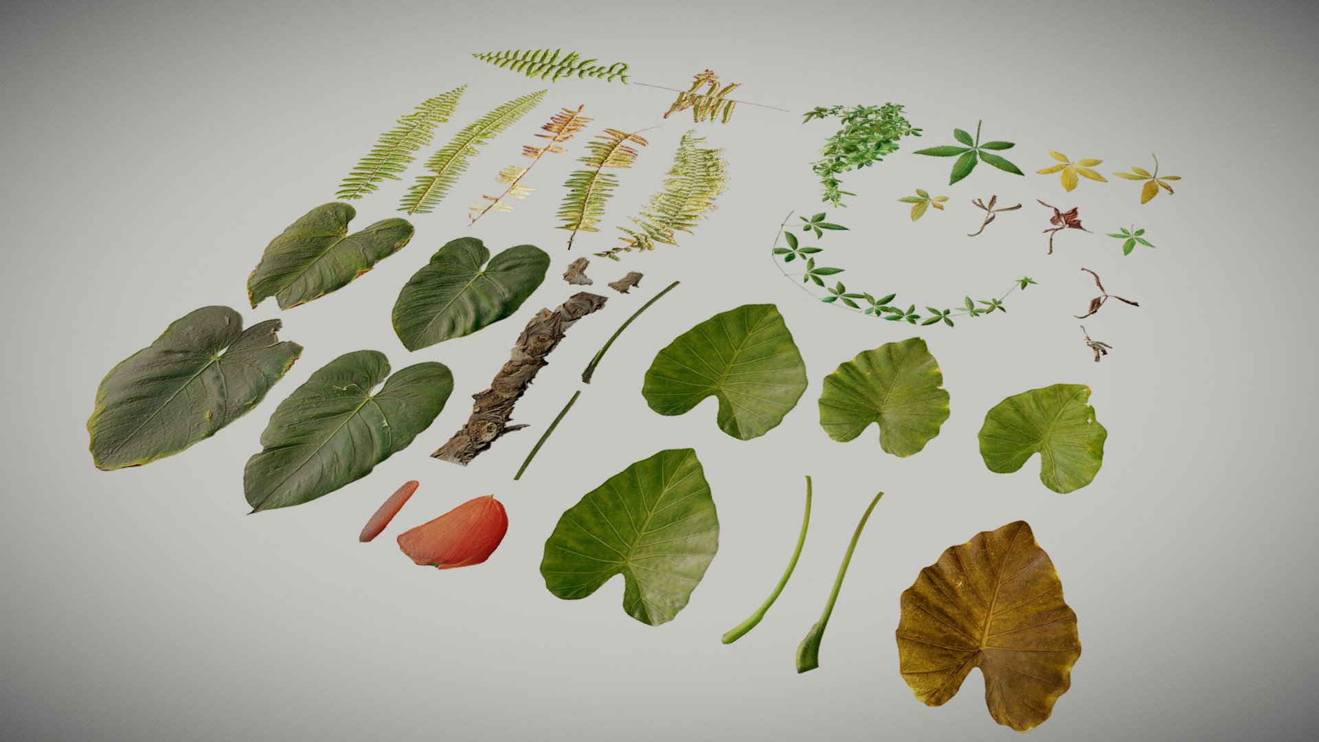 Atlases (Tropical Plants) No. 1 3d model