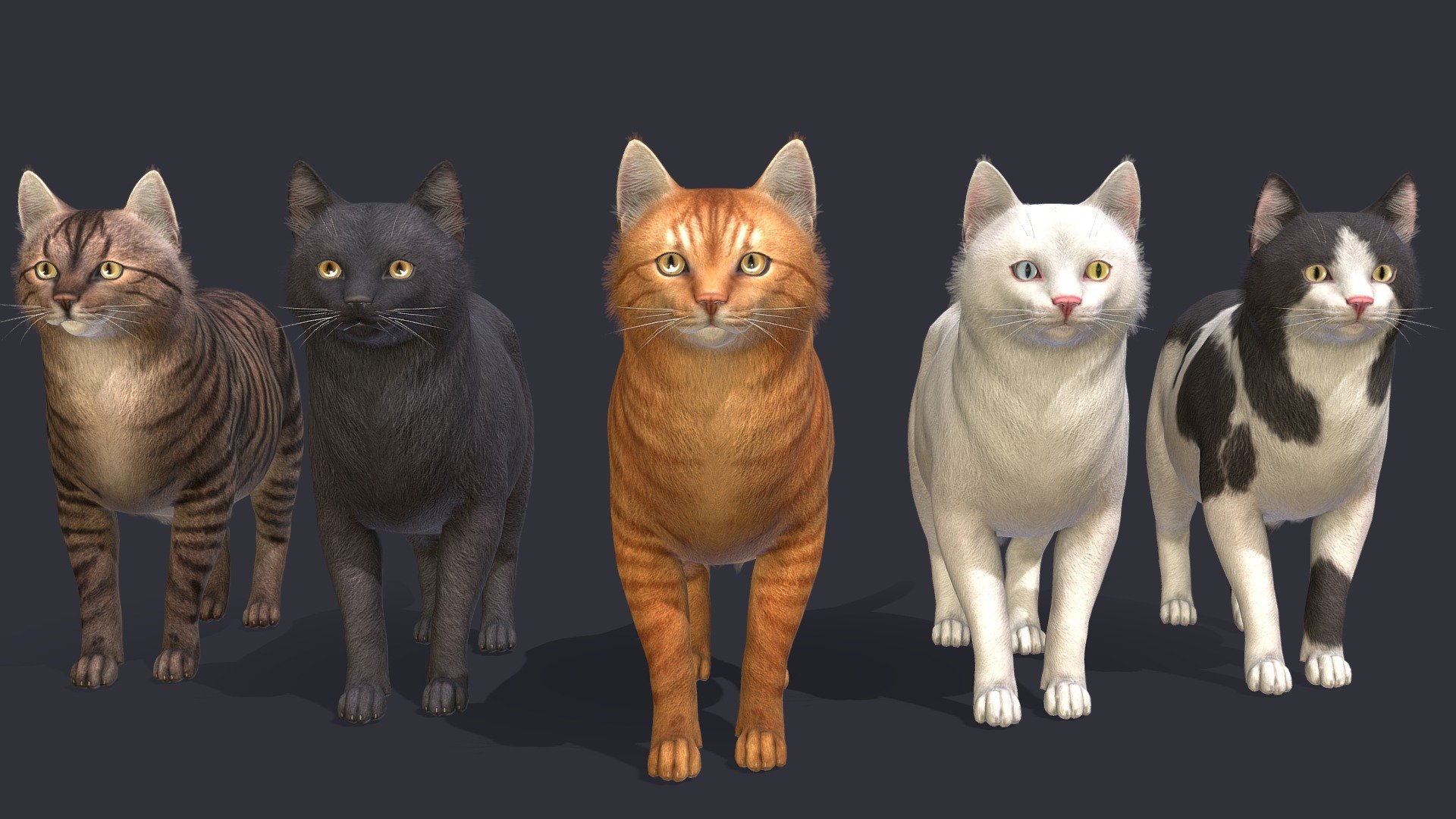 Fat Cats 3d model