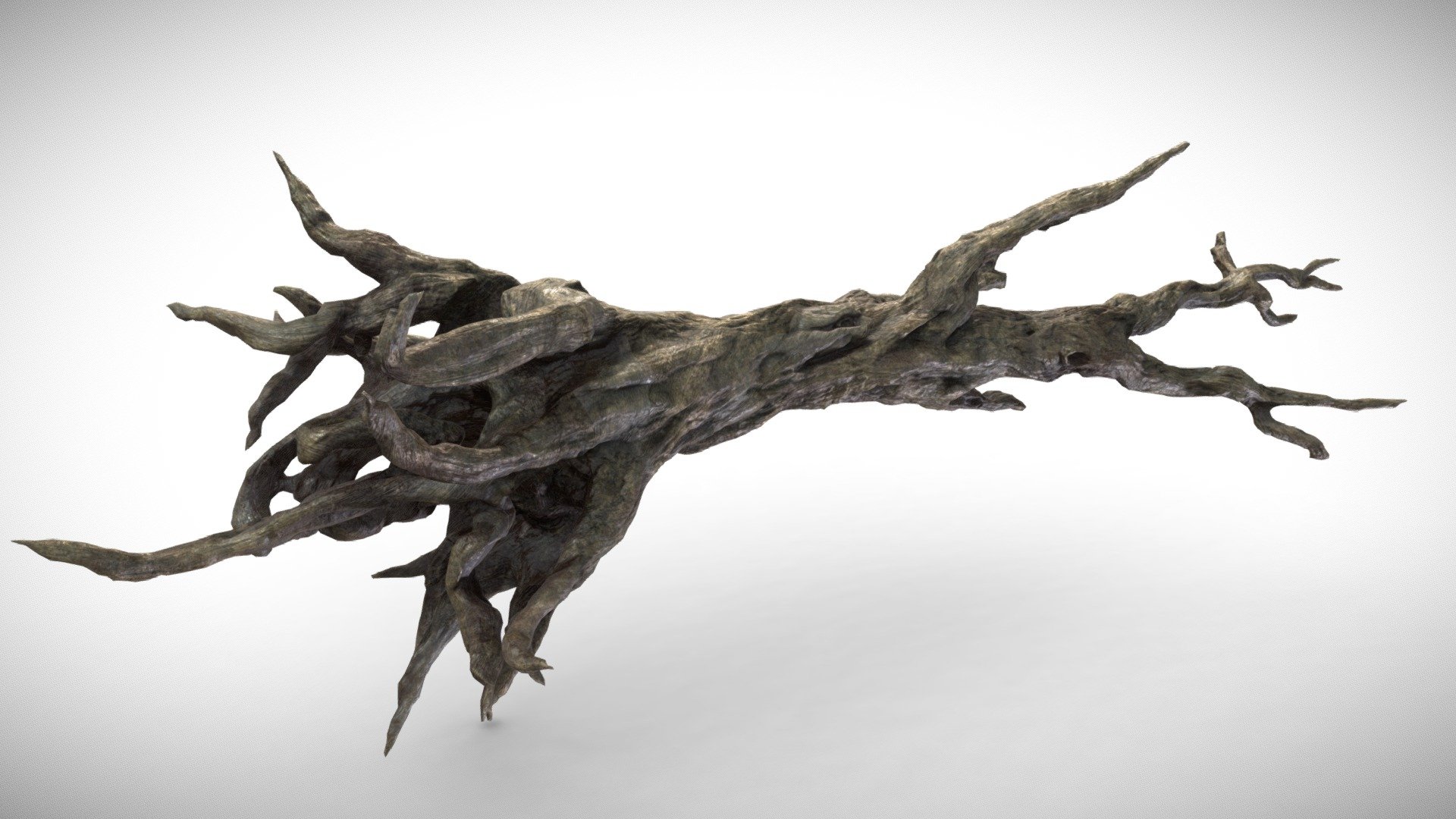 Fantasy Forest Tree 3d model