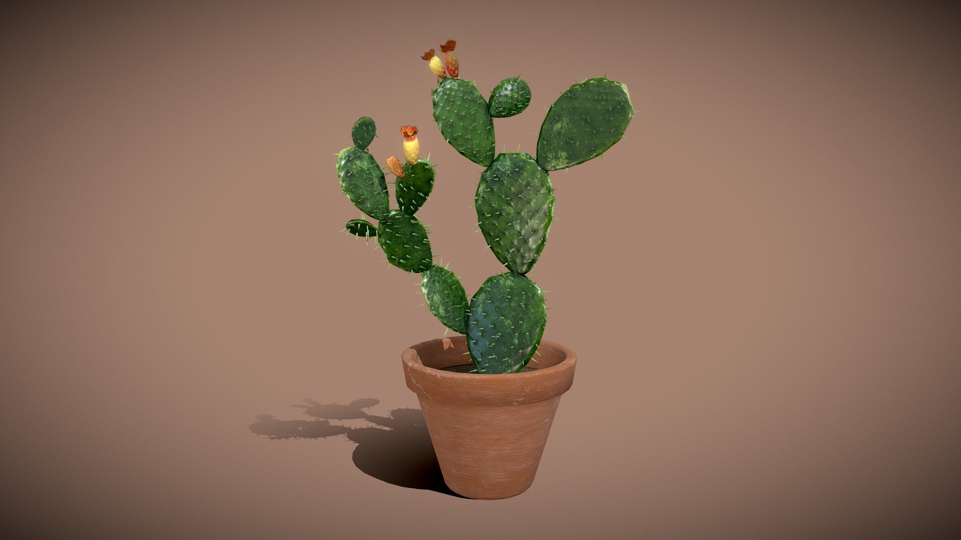 Opuntia Cactus 3d model