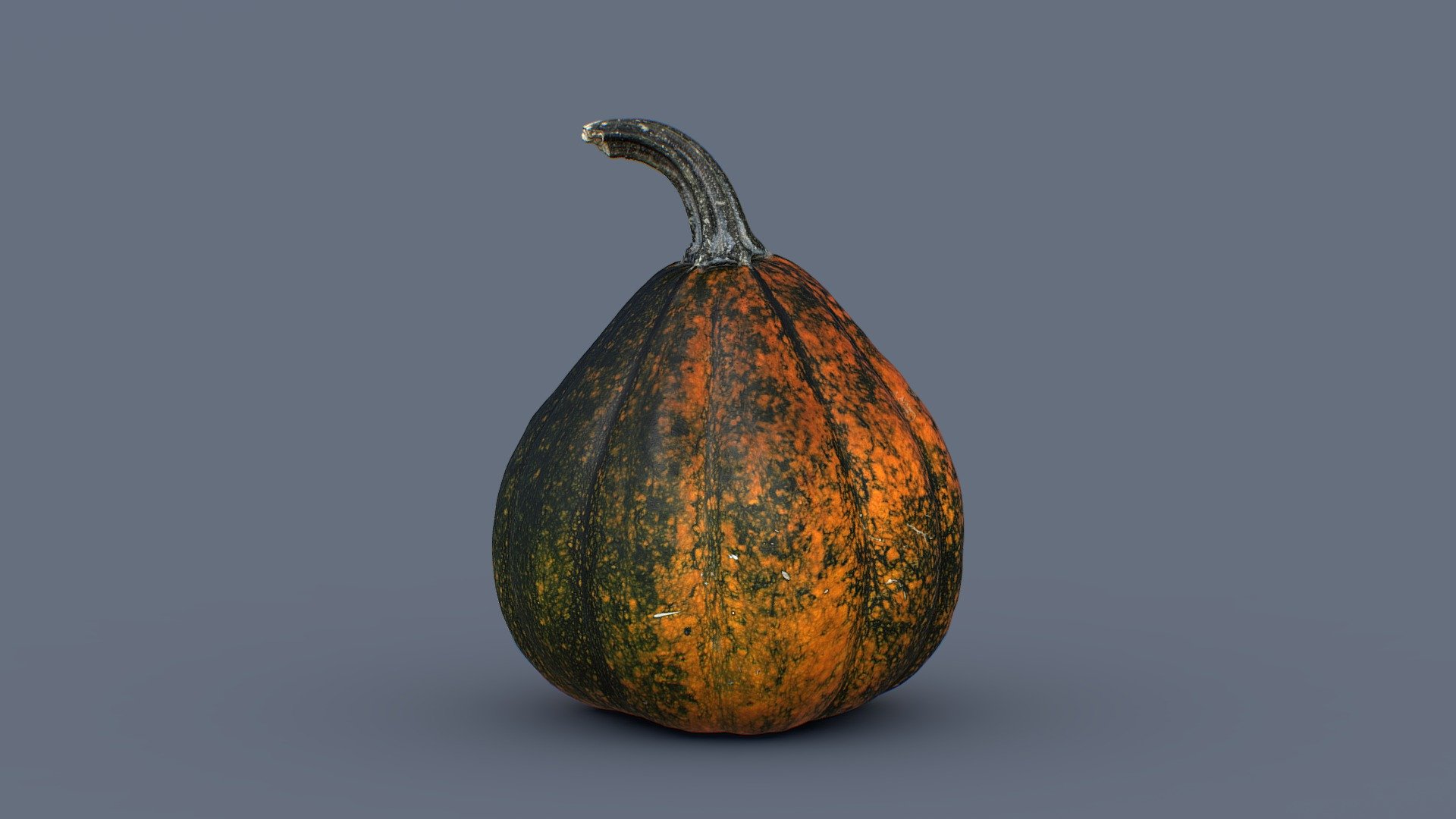 Pumpkin Boatswain 3d model