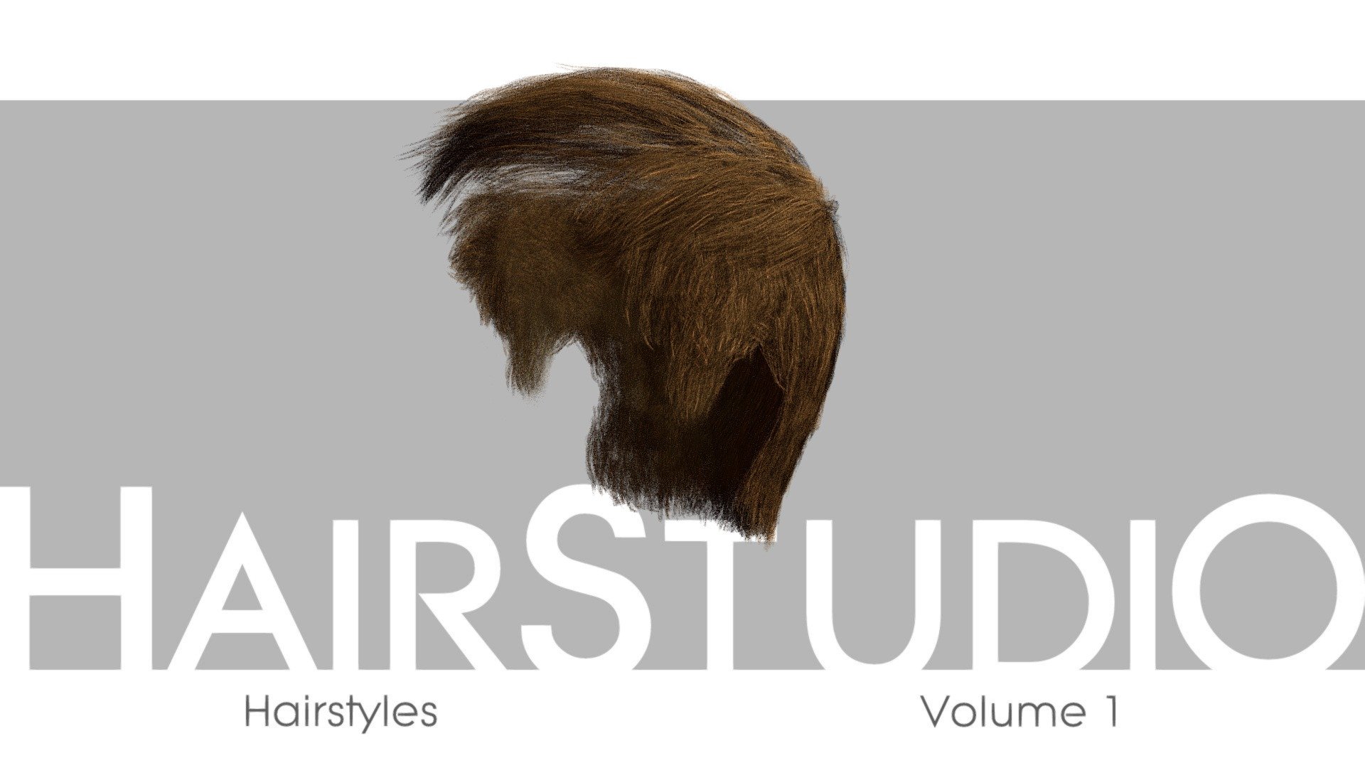 HairStudio Vol.01 3d model