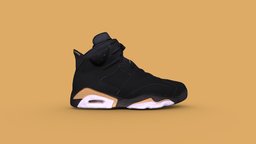 Air Jordan 6 Retro DMP Sneaker