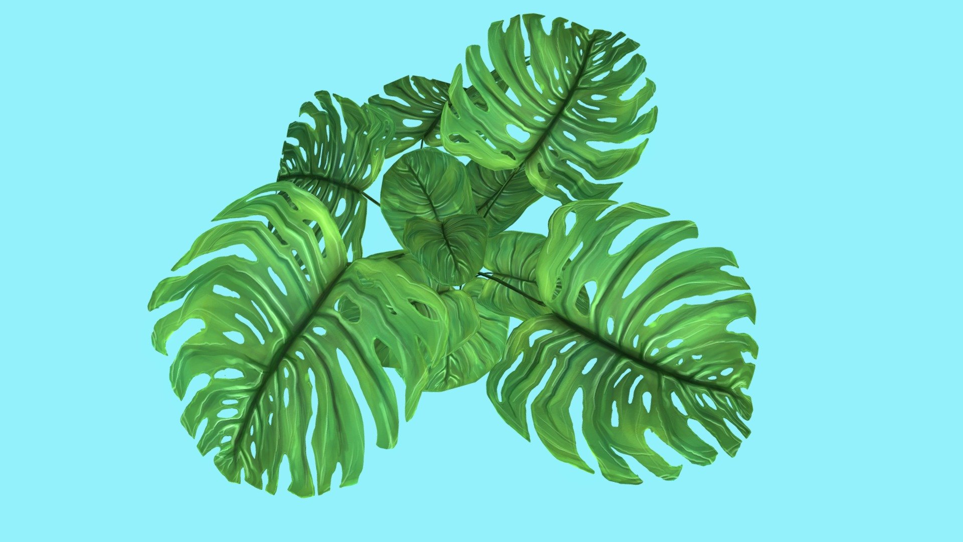 Filodendron leaves 3d model