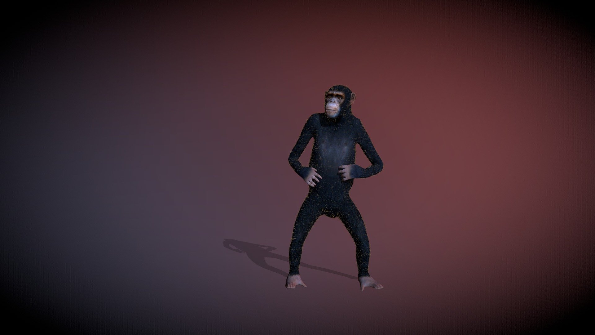 Cheeta on the dancefloor 3d model