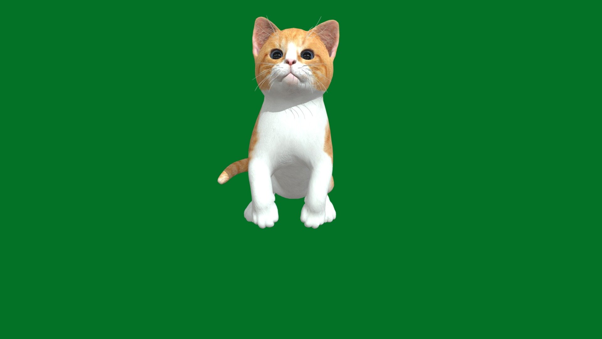 Kitten (Non-Commercial) 3d model