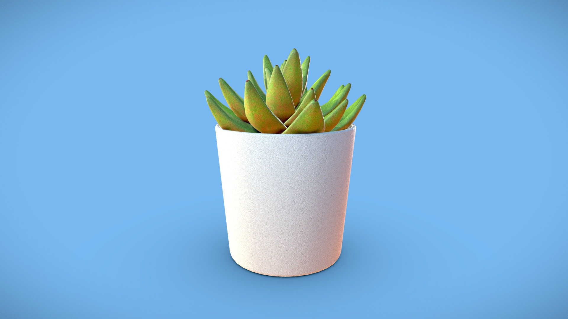 Succulent 3d model