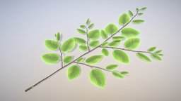 Hornbeam Branch (High-Poly)