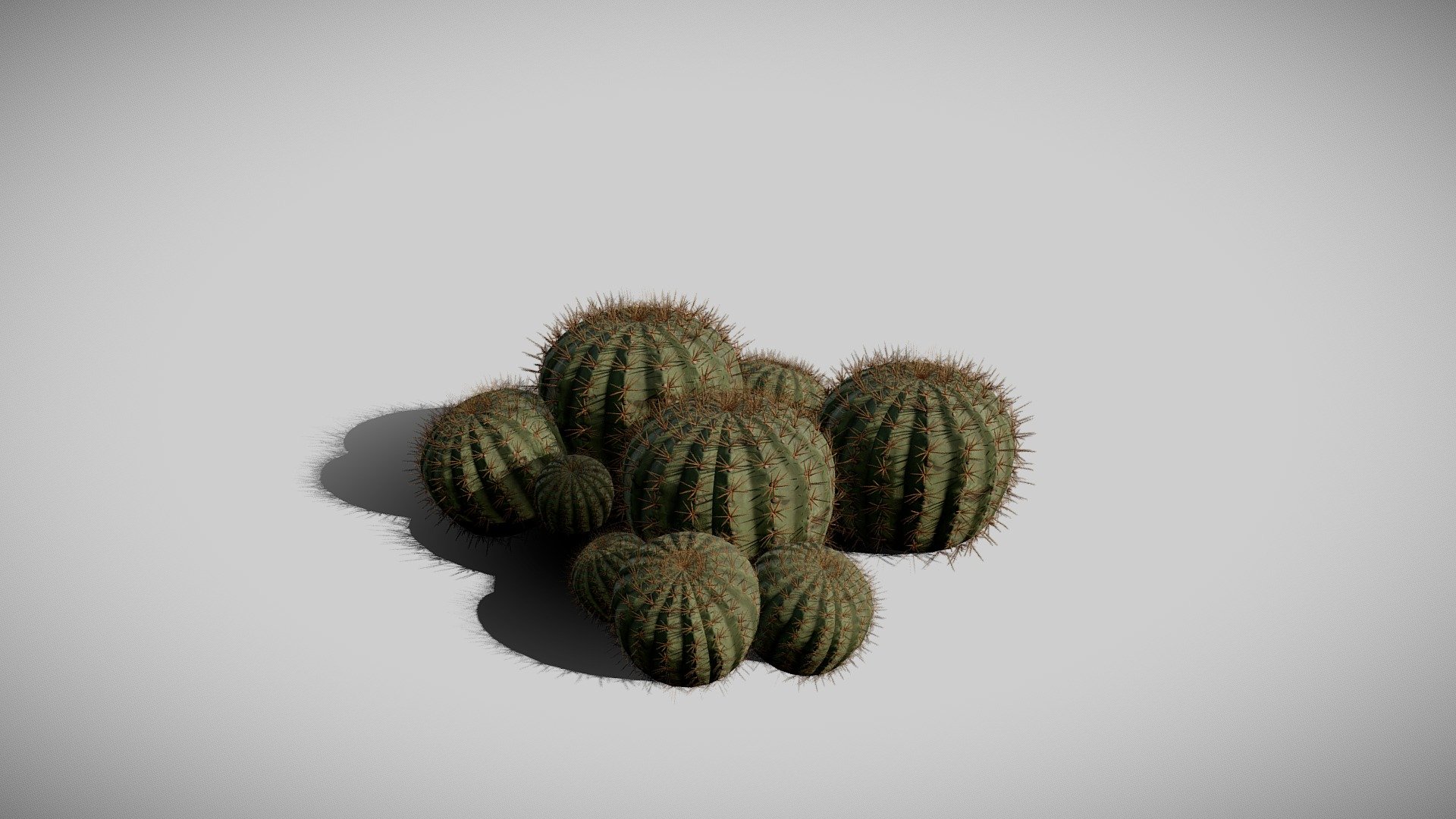 Biznaga (Cactus) 3d model