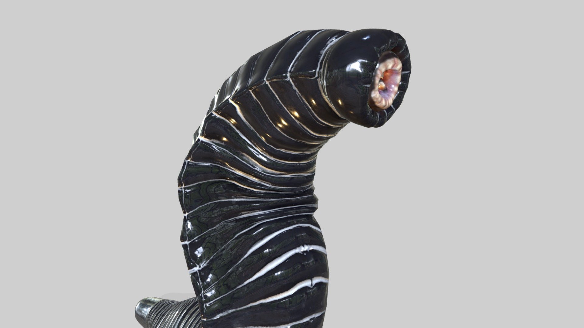 Heavy Leech 3d model