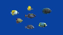 Tropical Fish 7 (Pack 2)