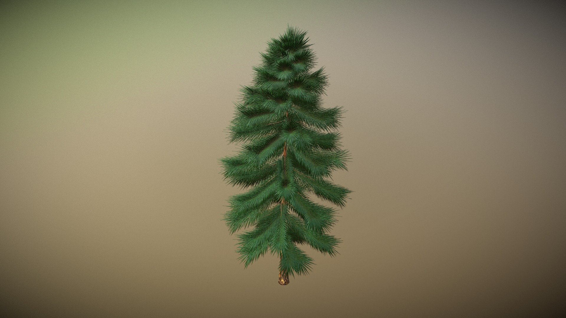 Christmas tree 3d model