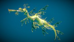 Leafy Seadragon