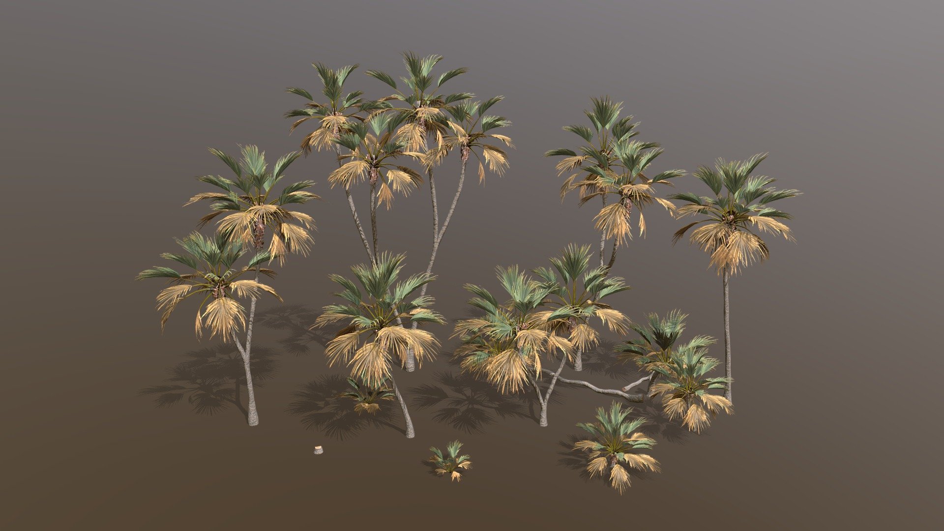 Doum Palm Pack 3d model