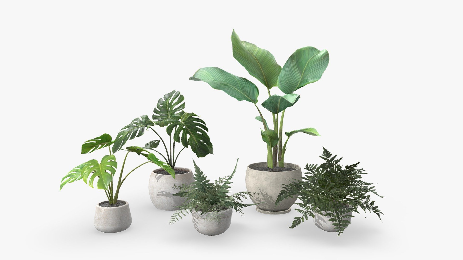 Plant Pack 01 3d model