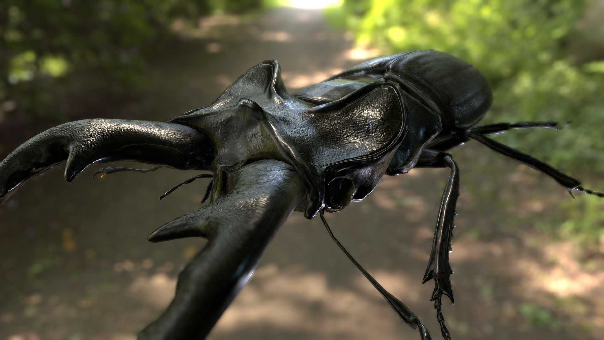 Lucanus maculifemoratus 3d model