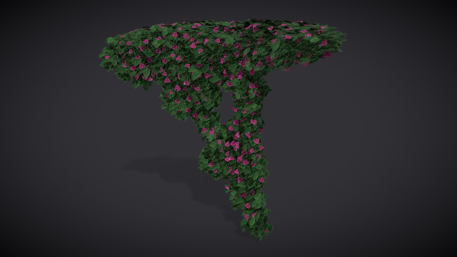 Fuschia Flowers 3d model