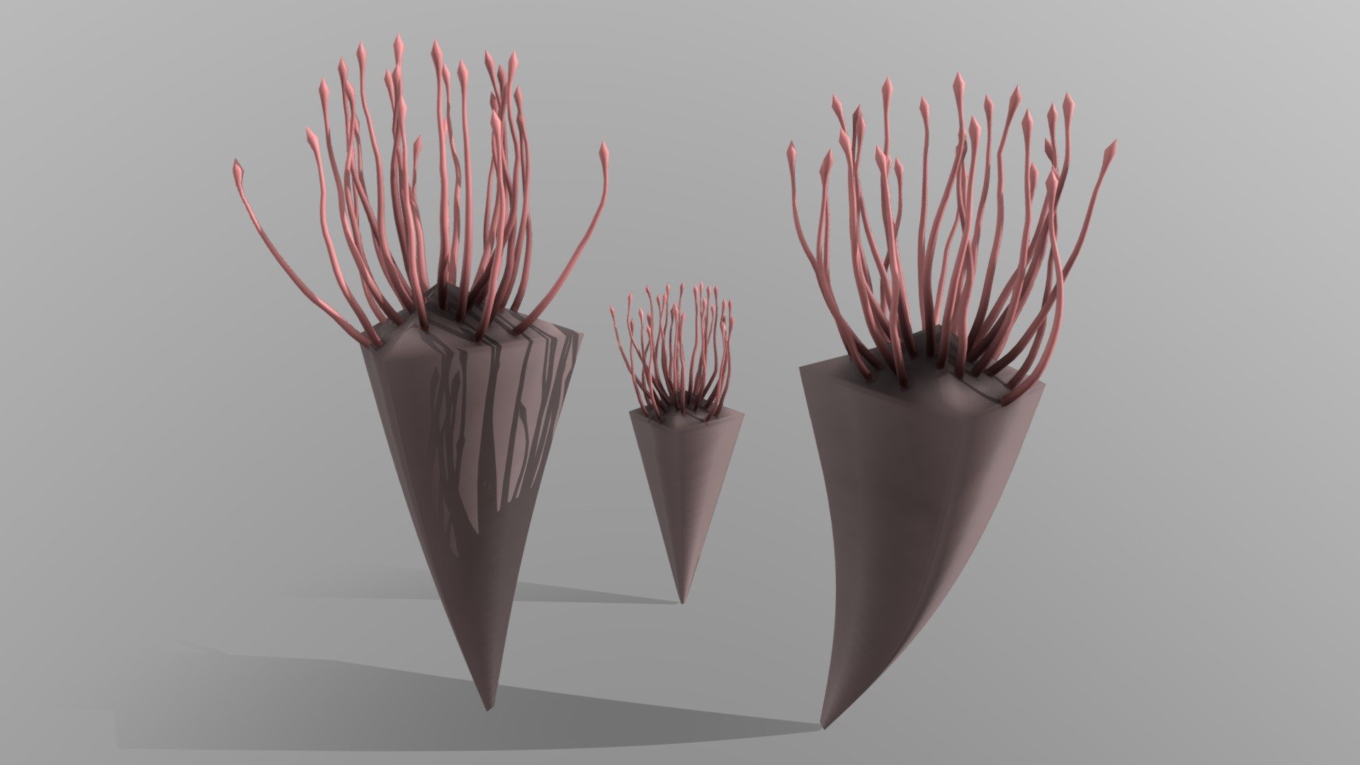 Conularia 3d model