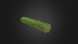 Straight Hedge 3D Model