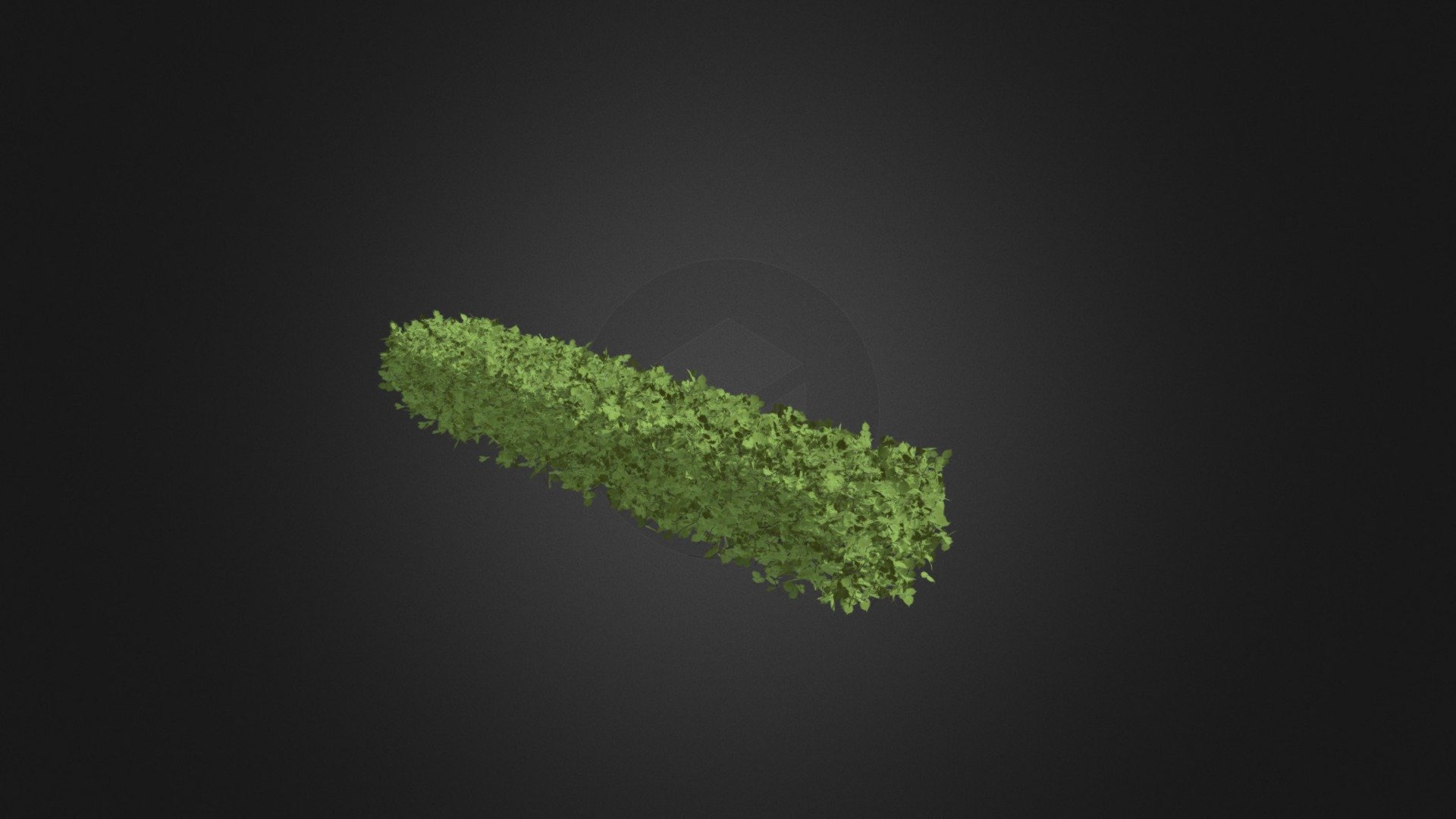 Straight Hedge 3D Model 3d model