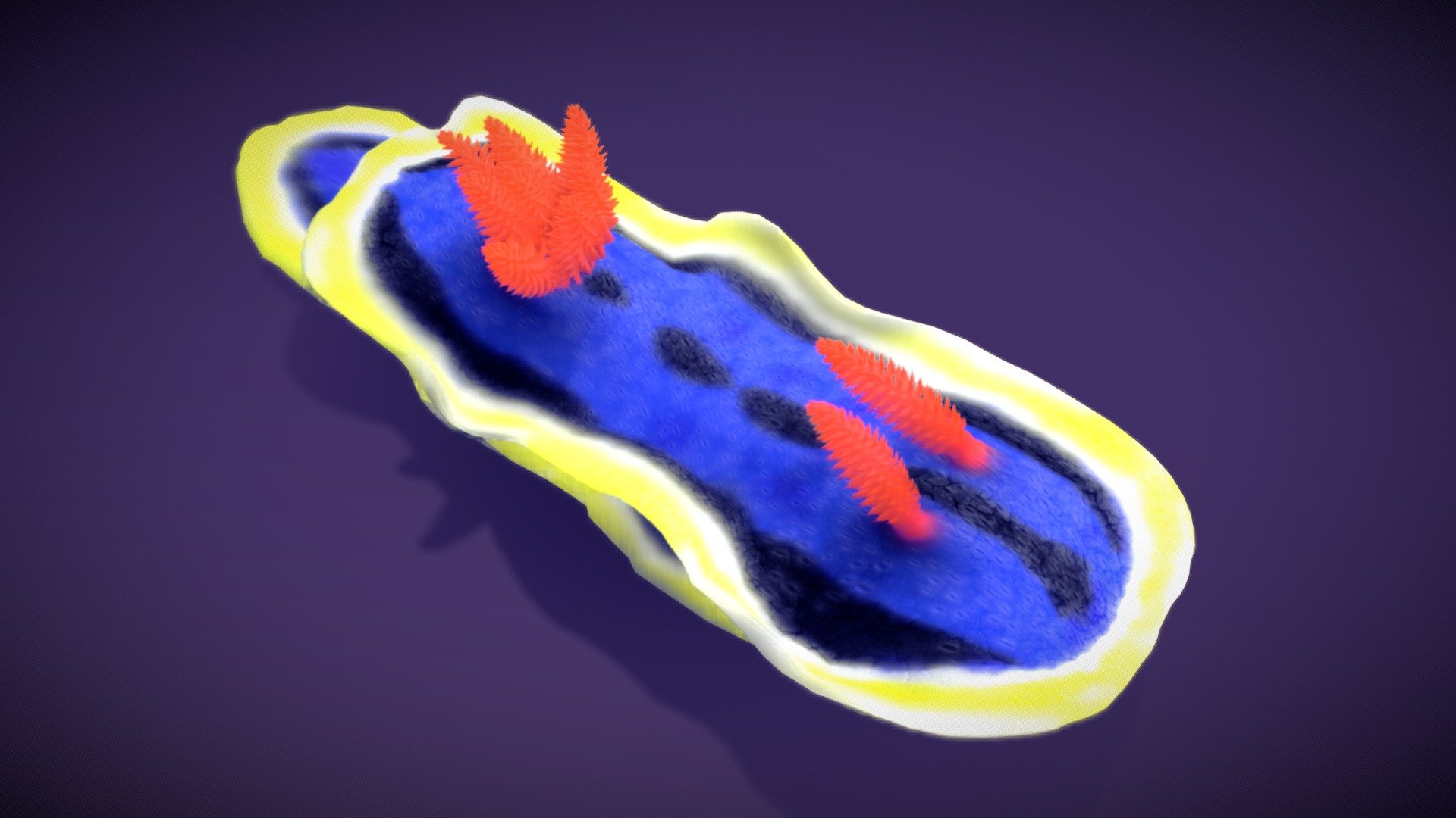 Sea Slug — Chromodoris Annae 3d model