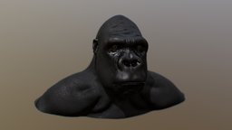 Gorilla