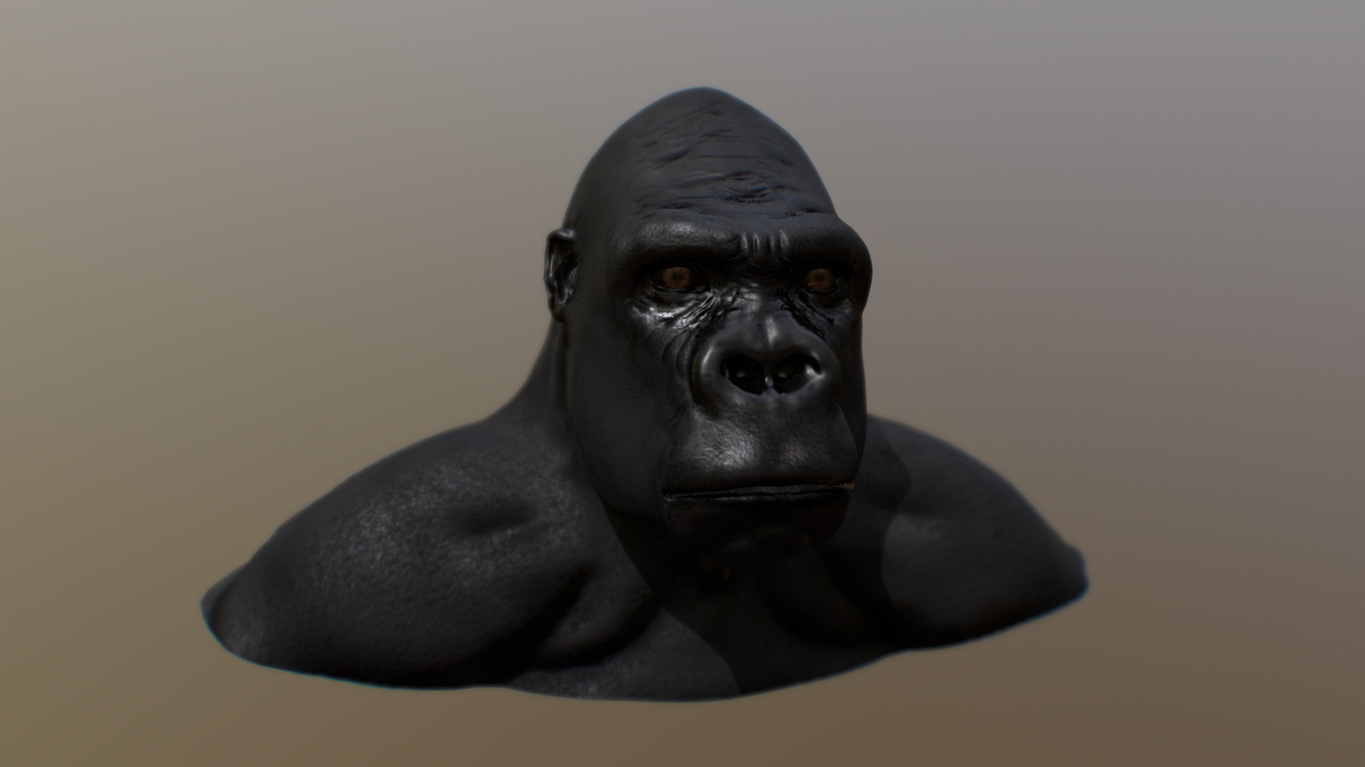 Gorilla 3d model