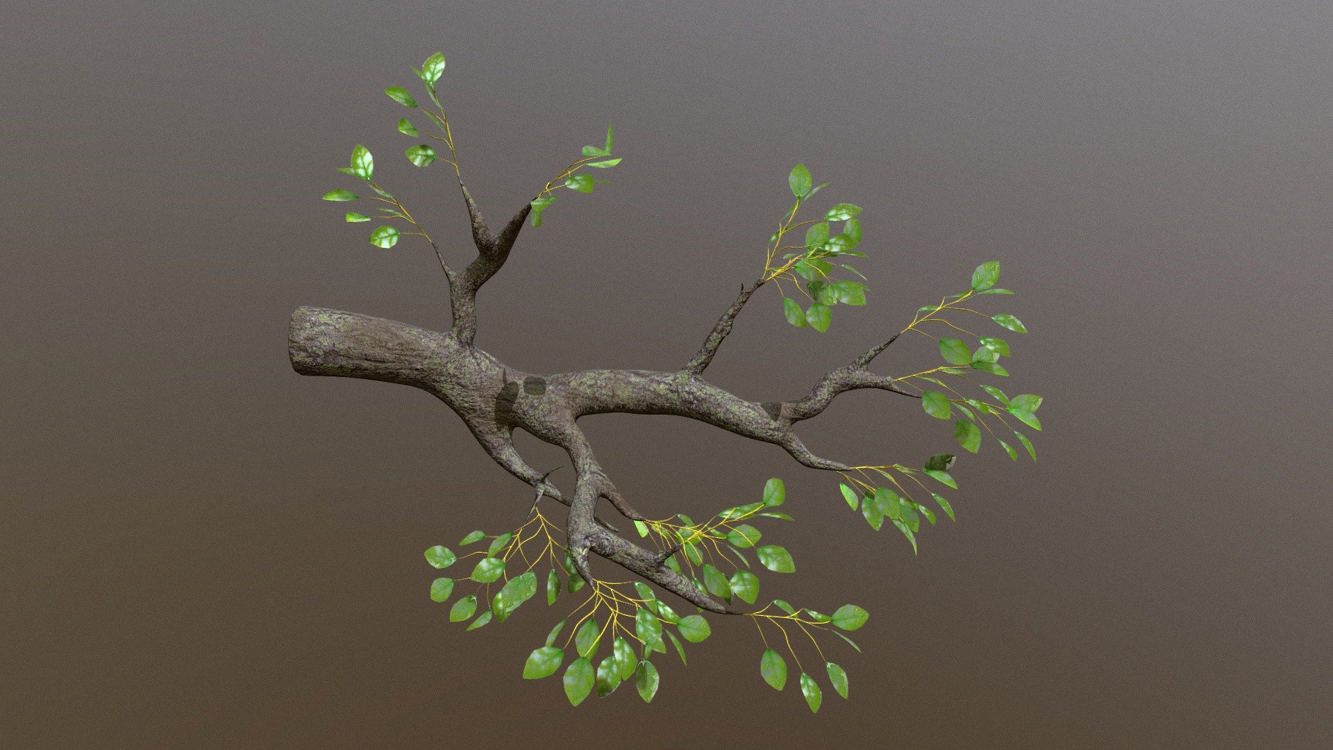 Tree Branch 3d model