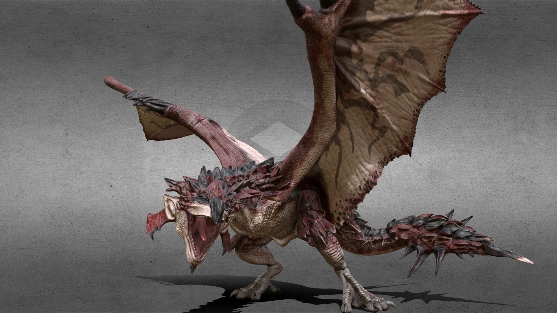 Liolaeus(Rathalos) 3d model