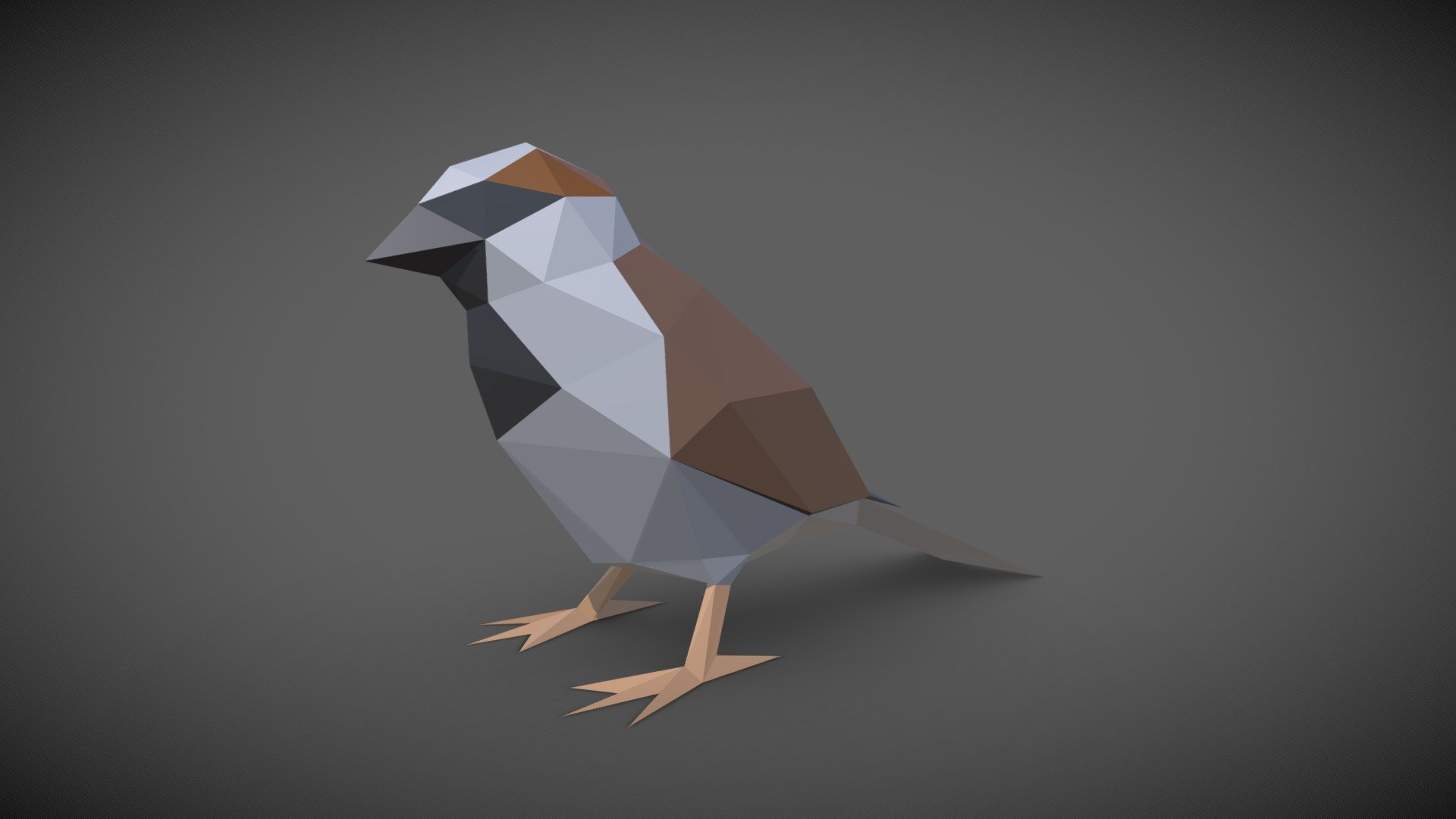 Bird 3d model