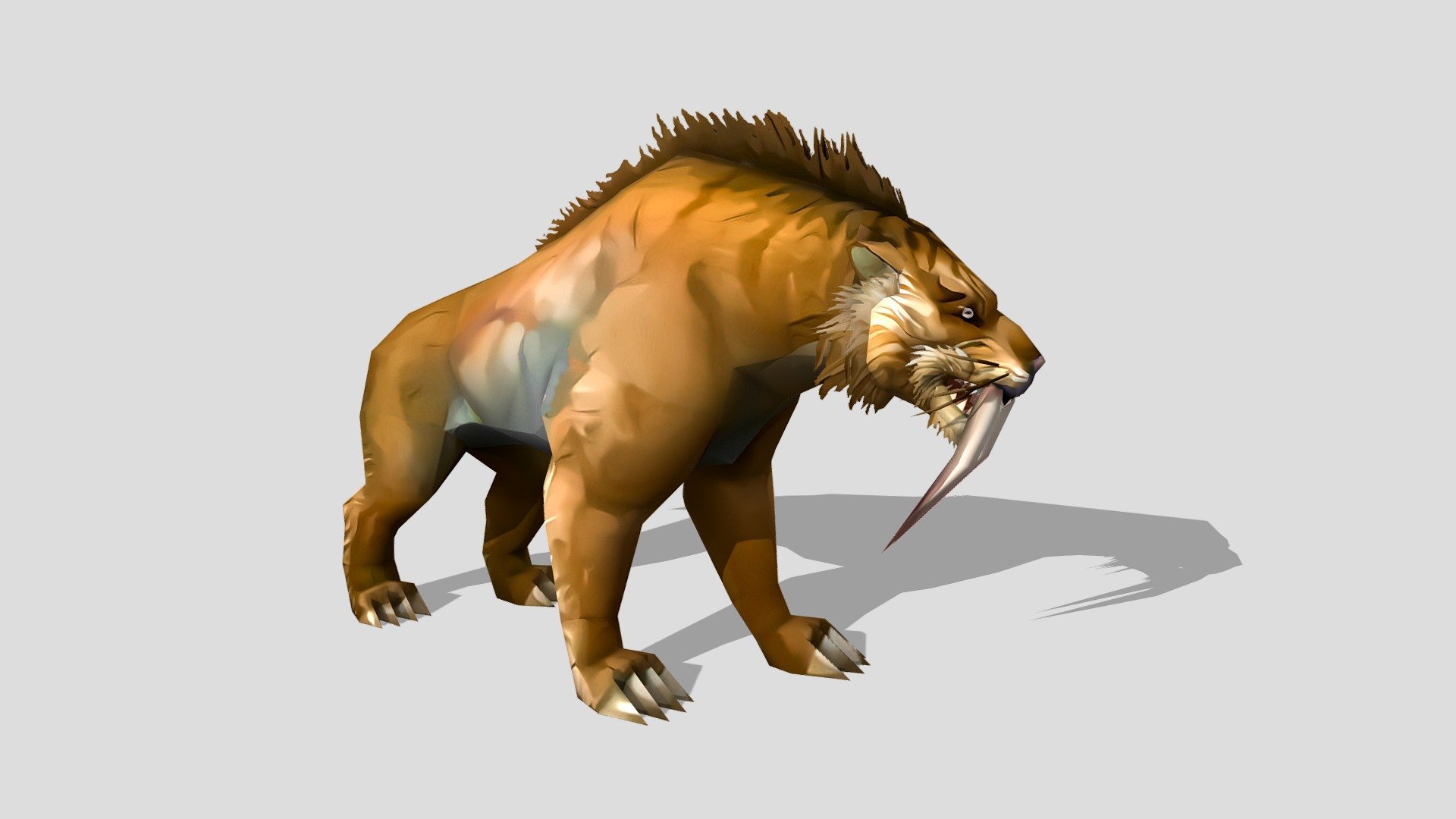 Sabertooth Tiger 3d model