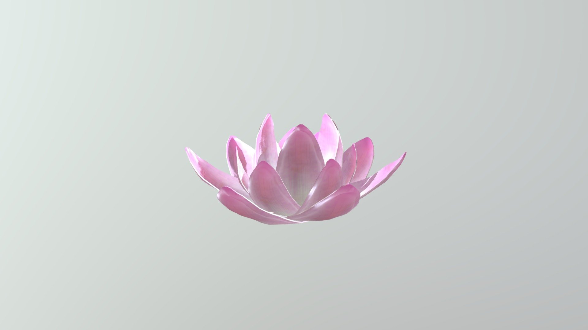 Lotus 3d model