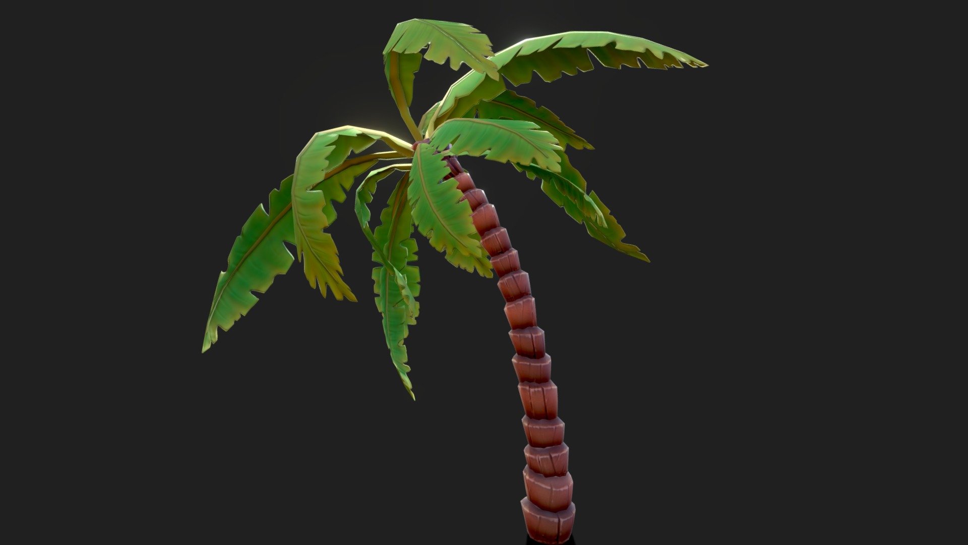 Cartoon Palm Tree 3d model