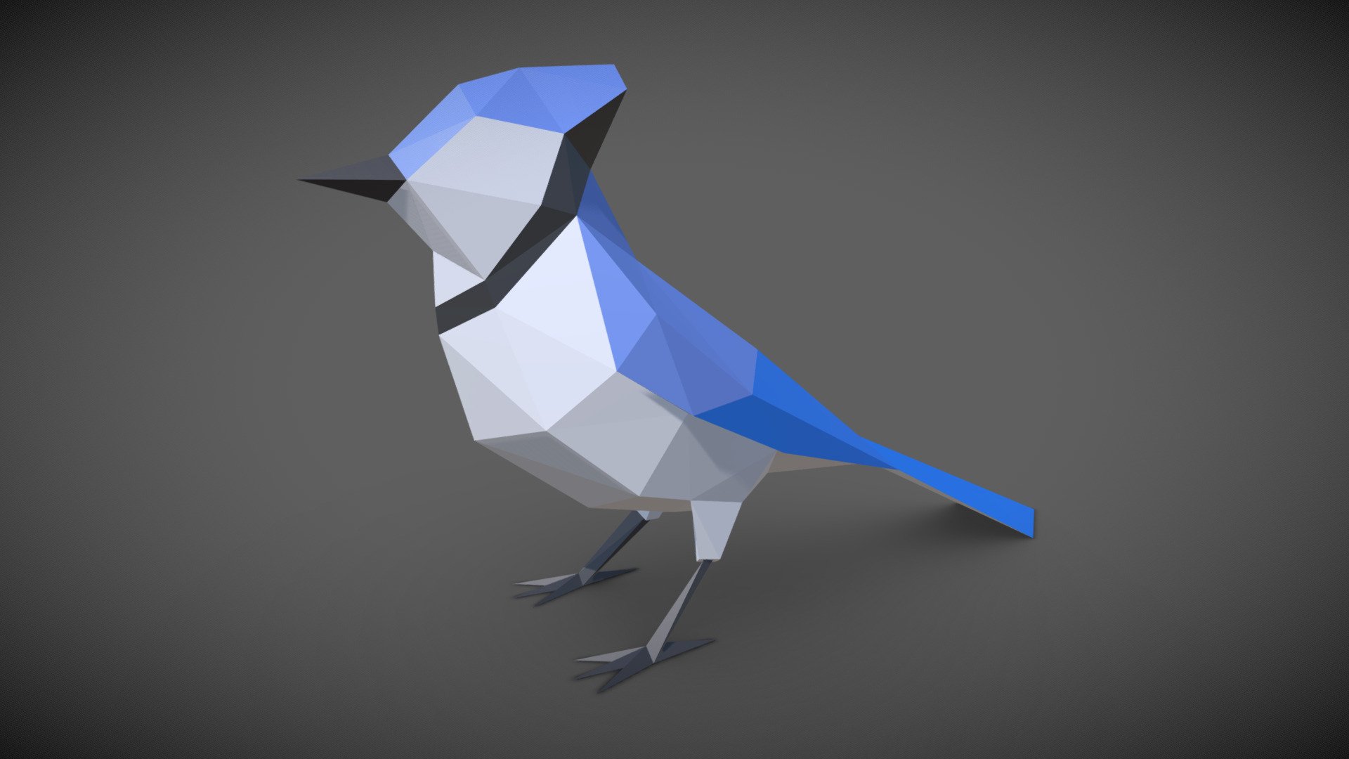 Bird 3d model