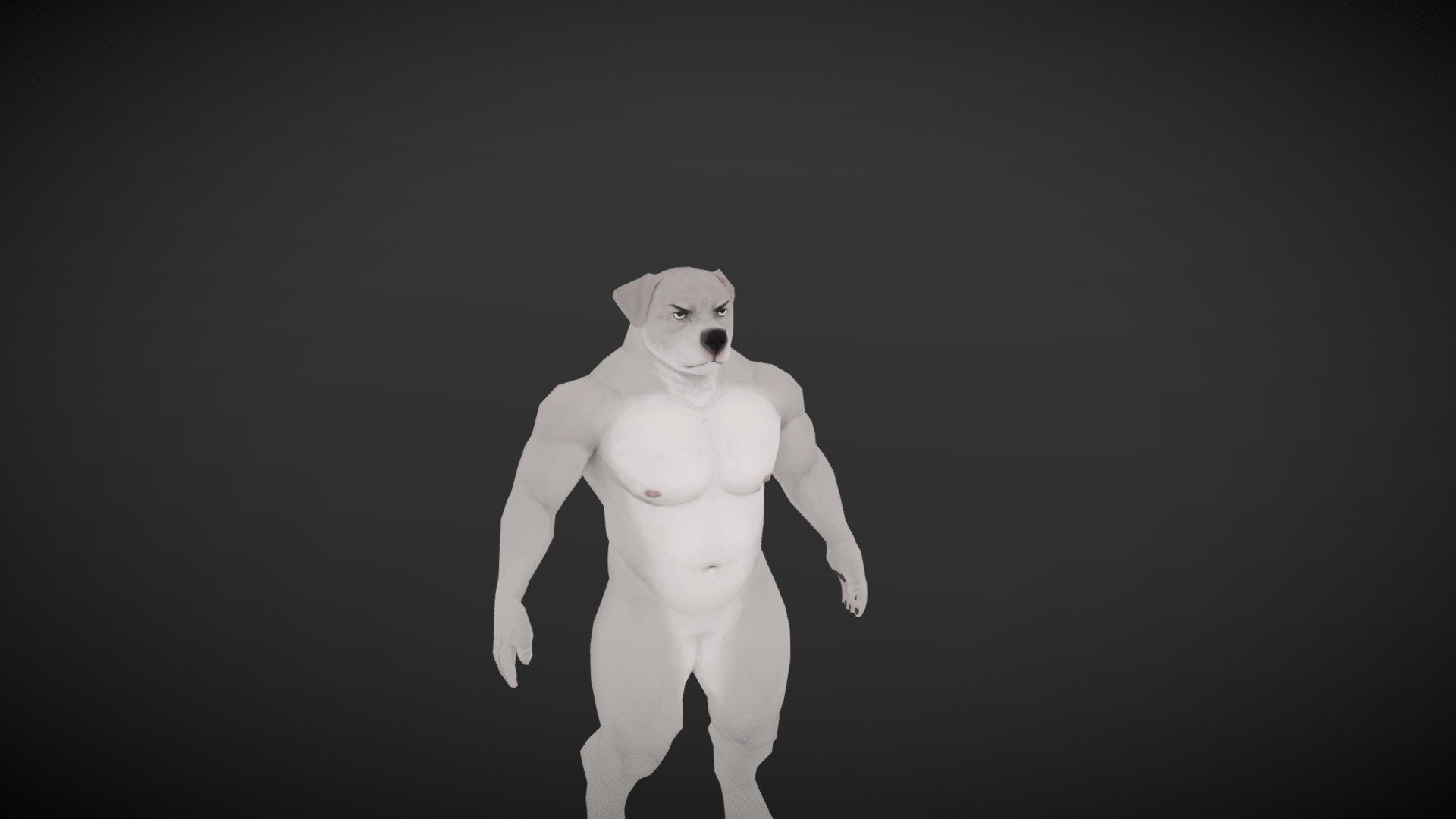 Bulldog 3d model