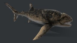 Dunkleosteus terrelli