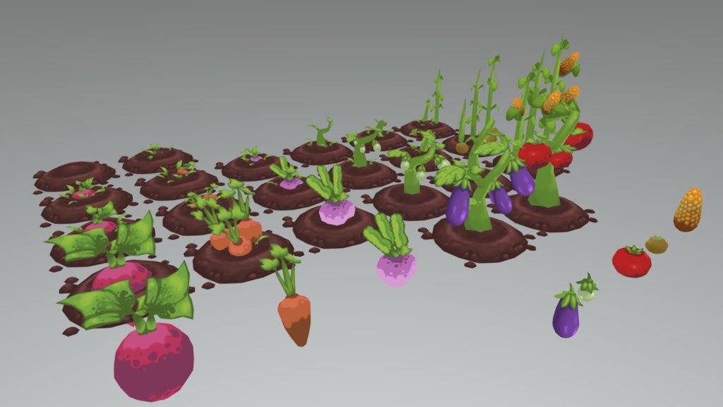 Crop Stages 3d model