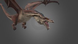 Dragon Animation Flying