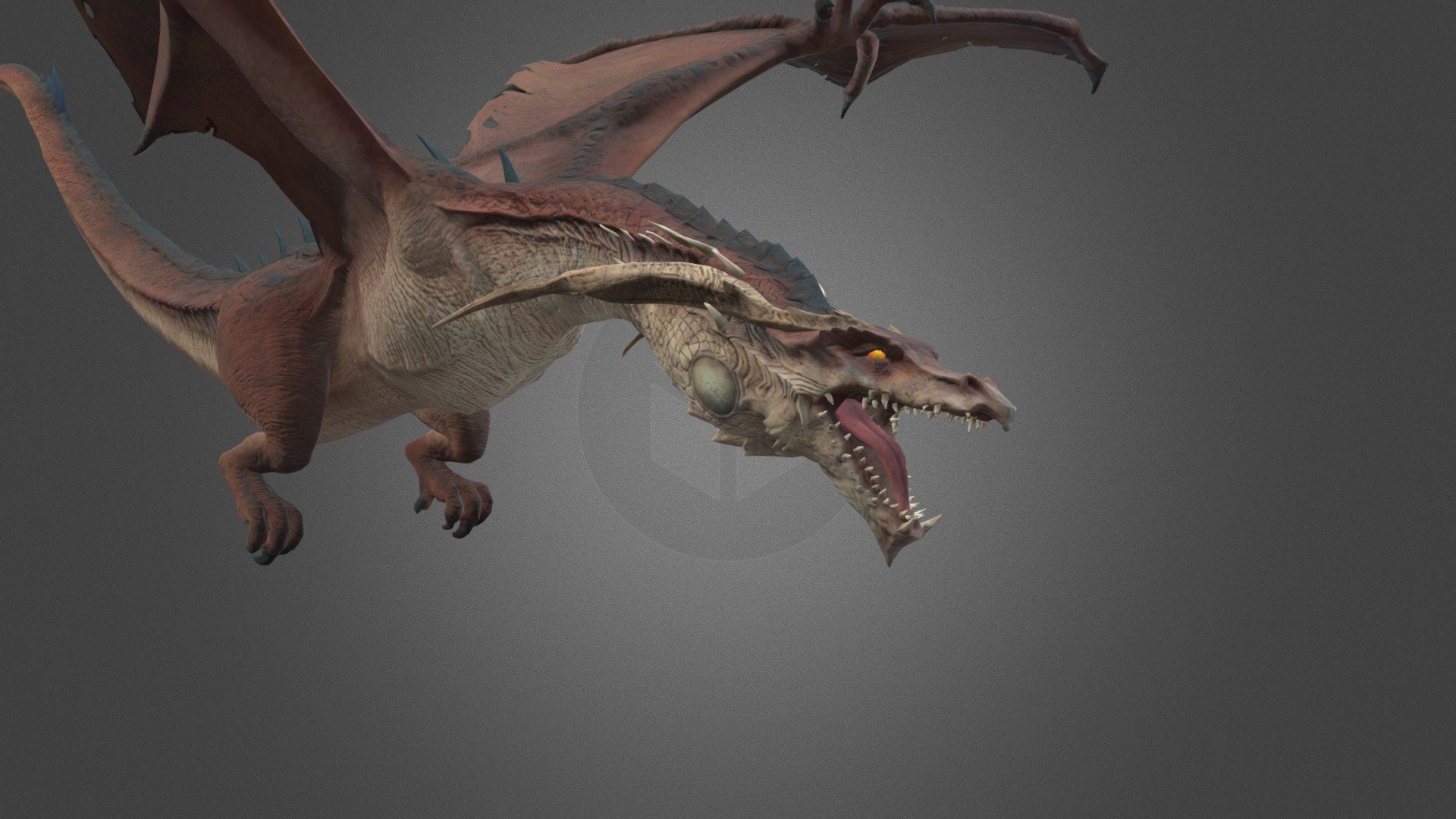 Dragon Animation Flying 3d model