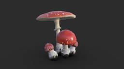 Fly Amanita