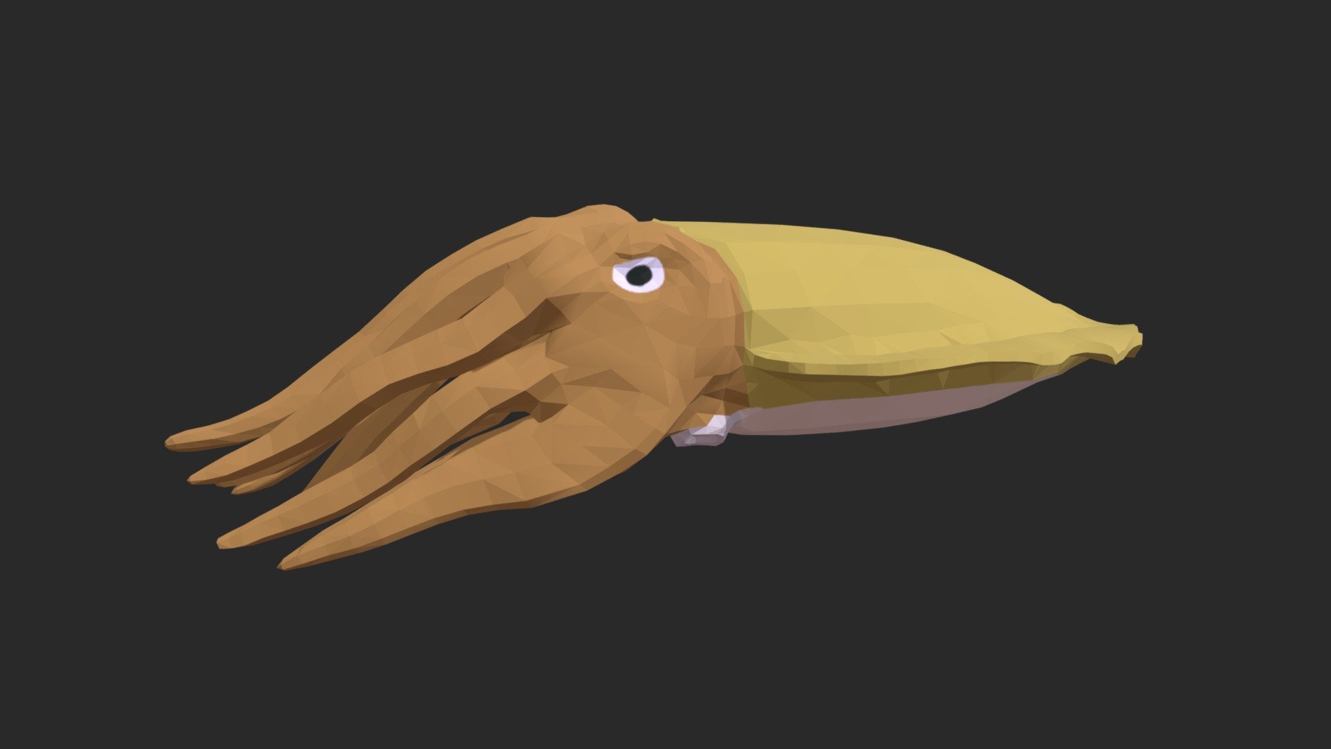 Cuttlefish 3d model