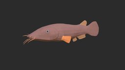 Electric Catfish