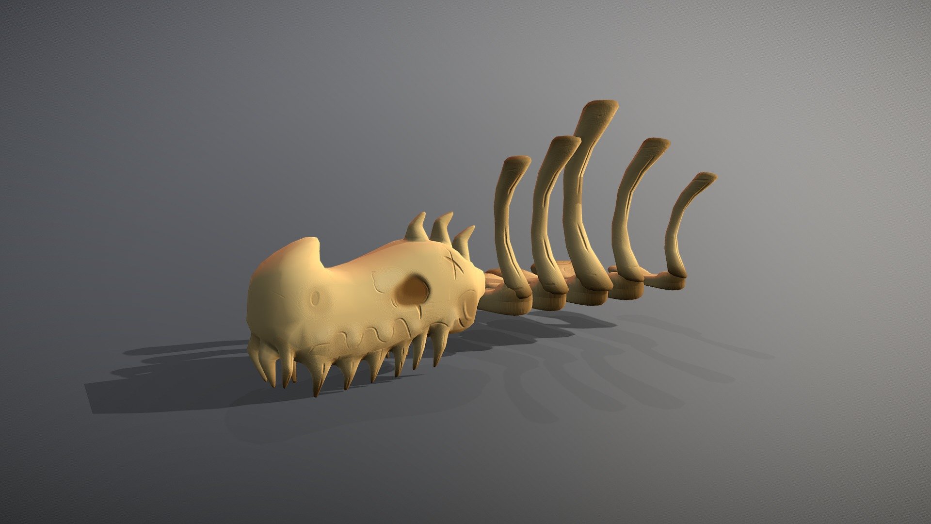 Fósil 3d model