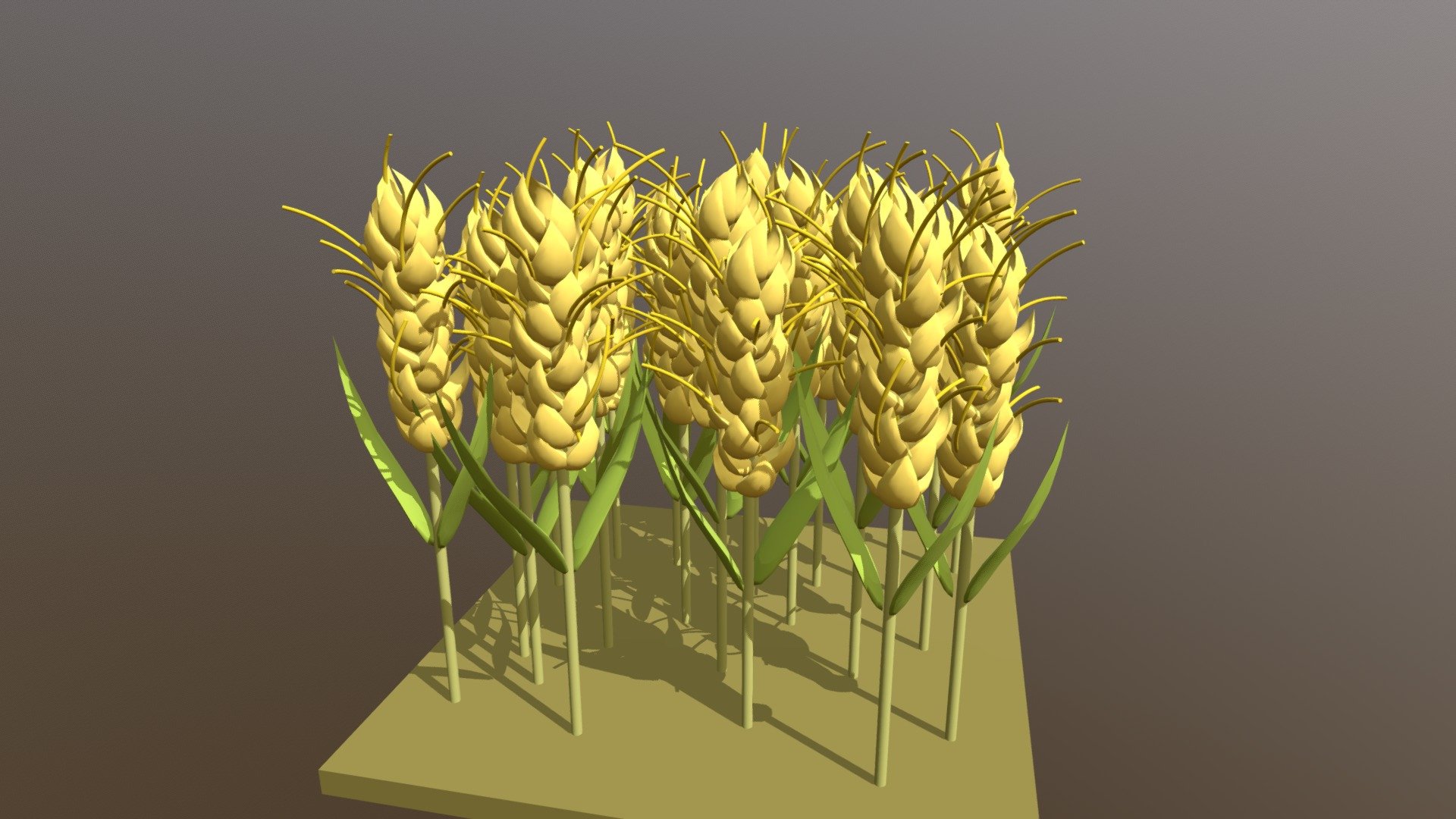 Wheat 3d model